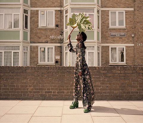 Mide - Also Journal gallery thumbnail